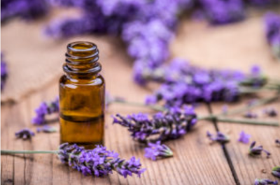 Top 5 Benefits of Lavender Essential Oil